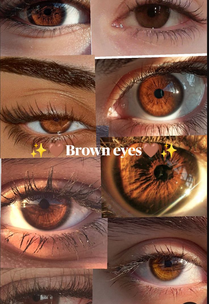 LENTES DE CONTACTO NOVMAS